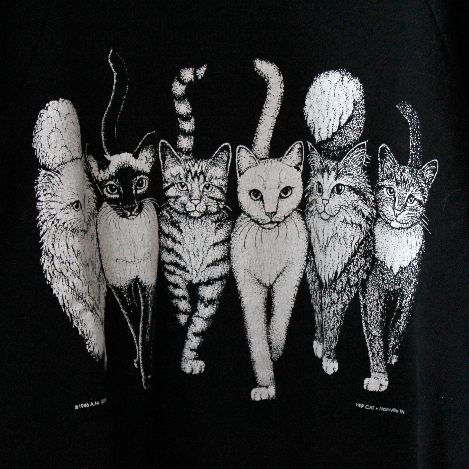 HEP CAT、リンダ・ロリなど。前後ネコ古着の話 - フレーメンストア