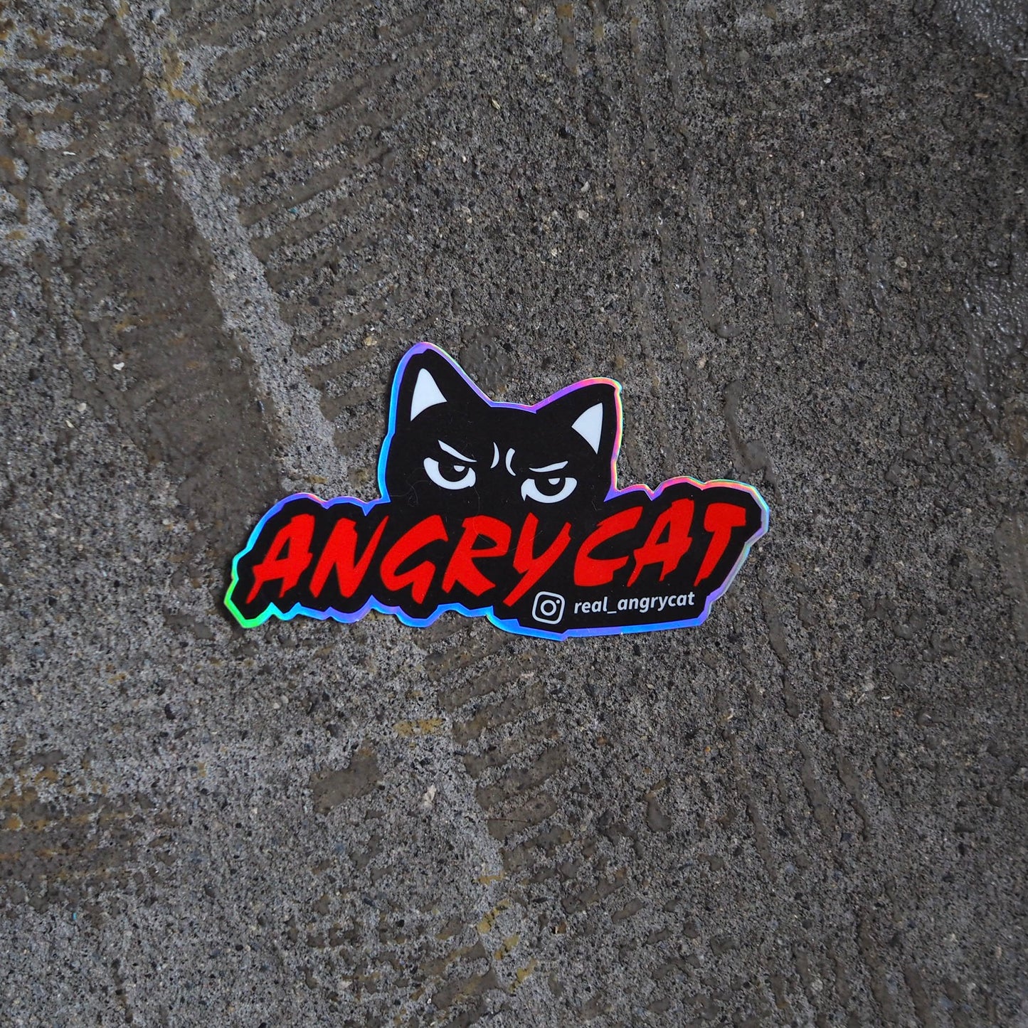 Rock Cat