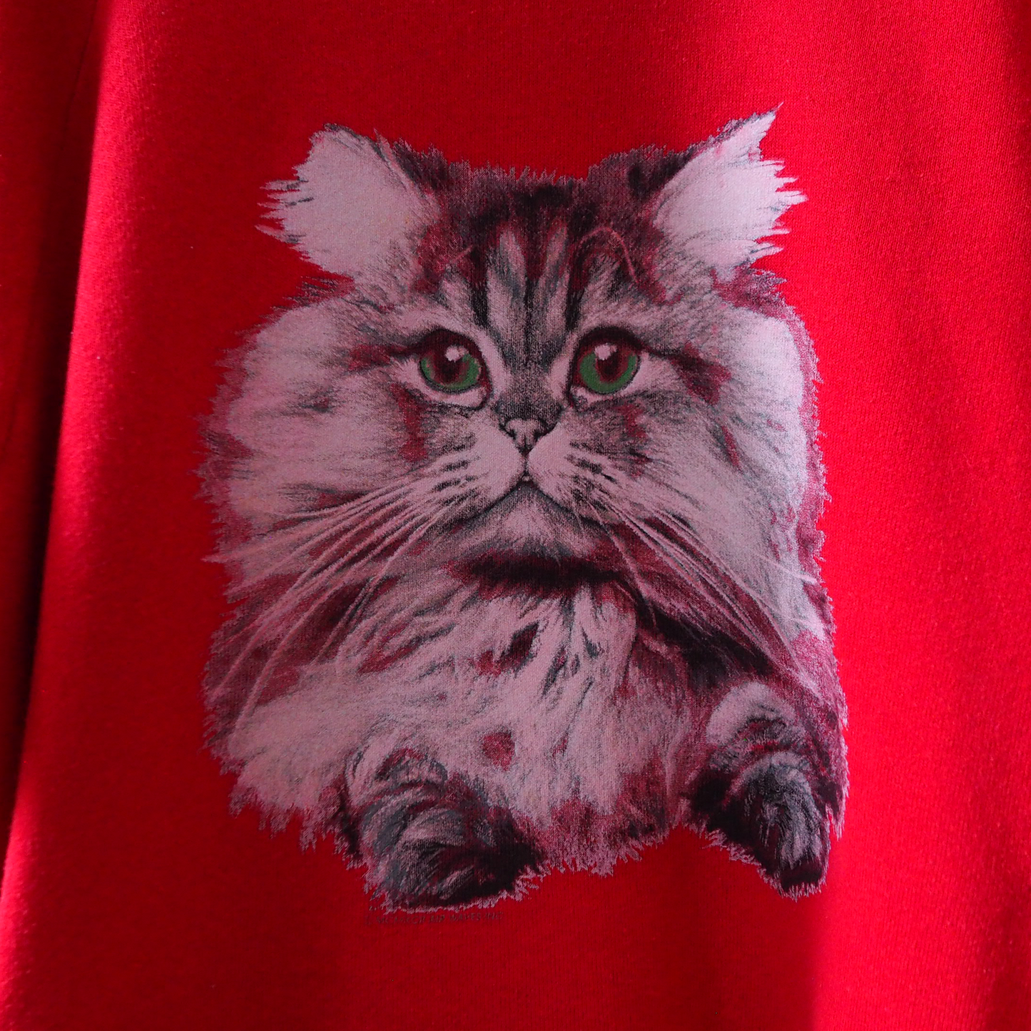 Baby Face Cat Portrait Sweat / 90s / Made in USA