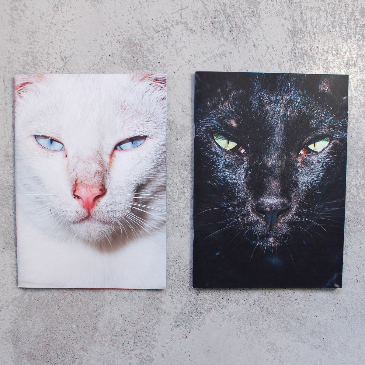 Backyard Diaries Vol. 2 - Bangkok, Black Cat Edition