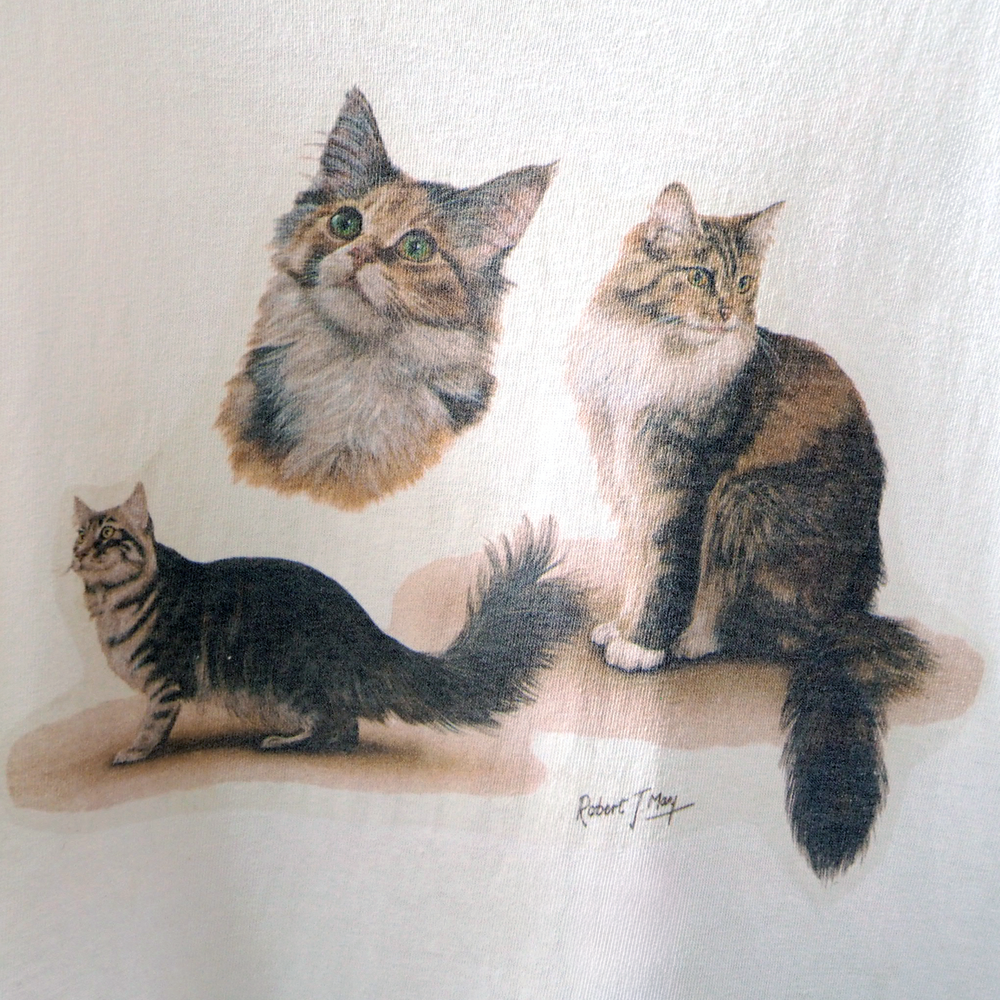 Brown Tabby Cat Tee / 00s-