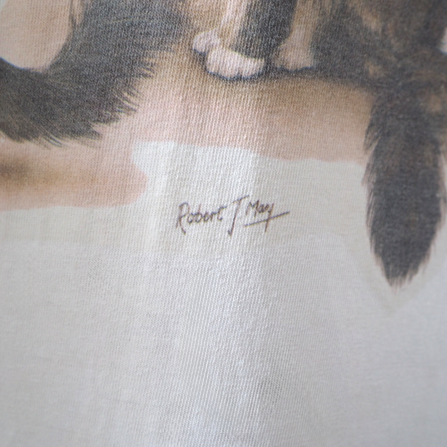 Brown Tabby Cat Tee / 00s-