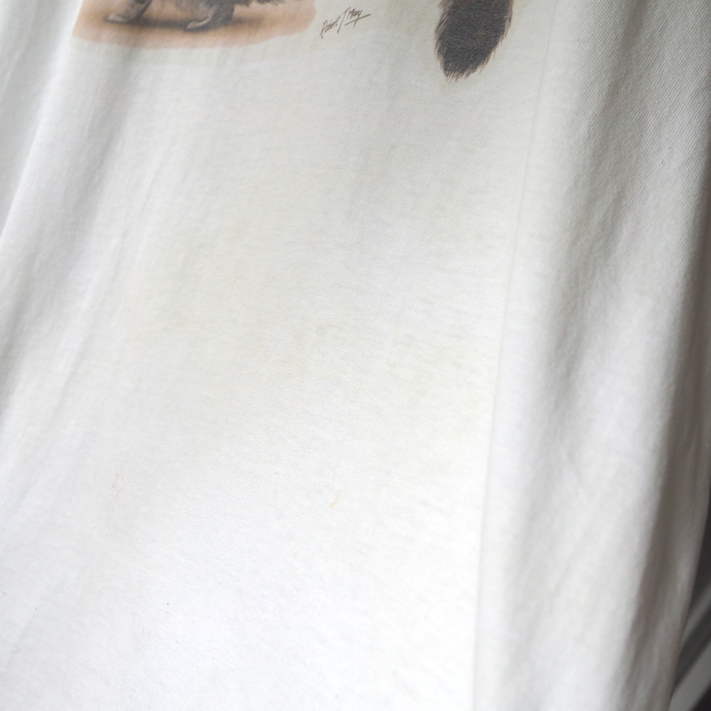 Brown Tabby Cat Tee / 00s-
