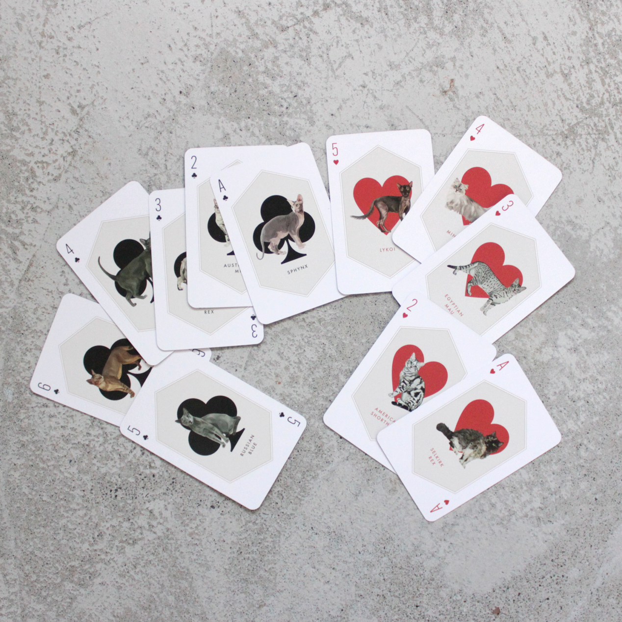 Cat and Dog Playing Cards ※ 開封済み・展示現品