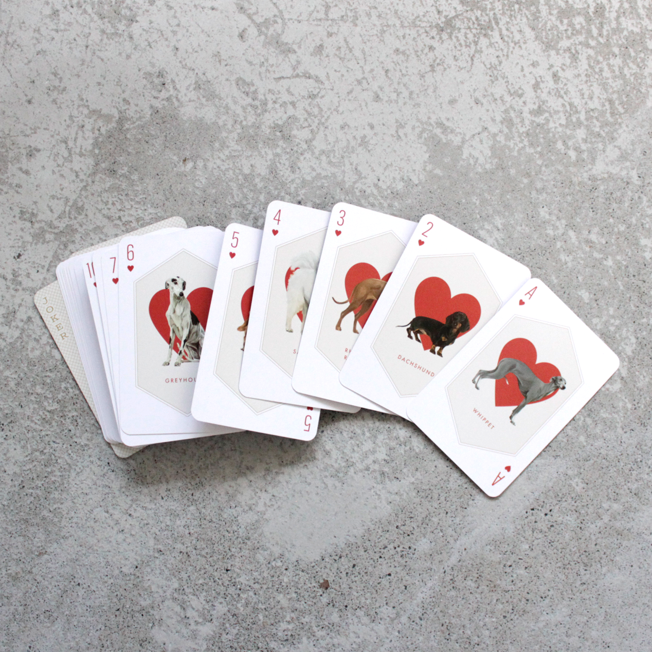Cat and Dog Playing Cards ※ 開封済み・展示現品