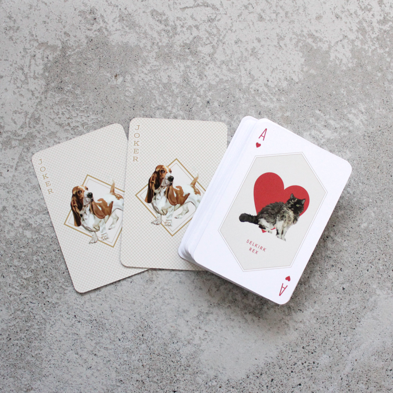 Cat and Dog Playing Cards ※ 開封済み・展示現品