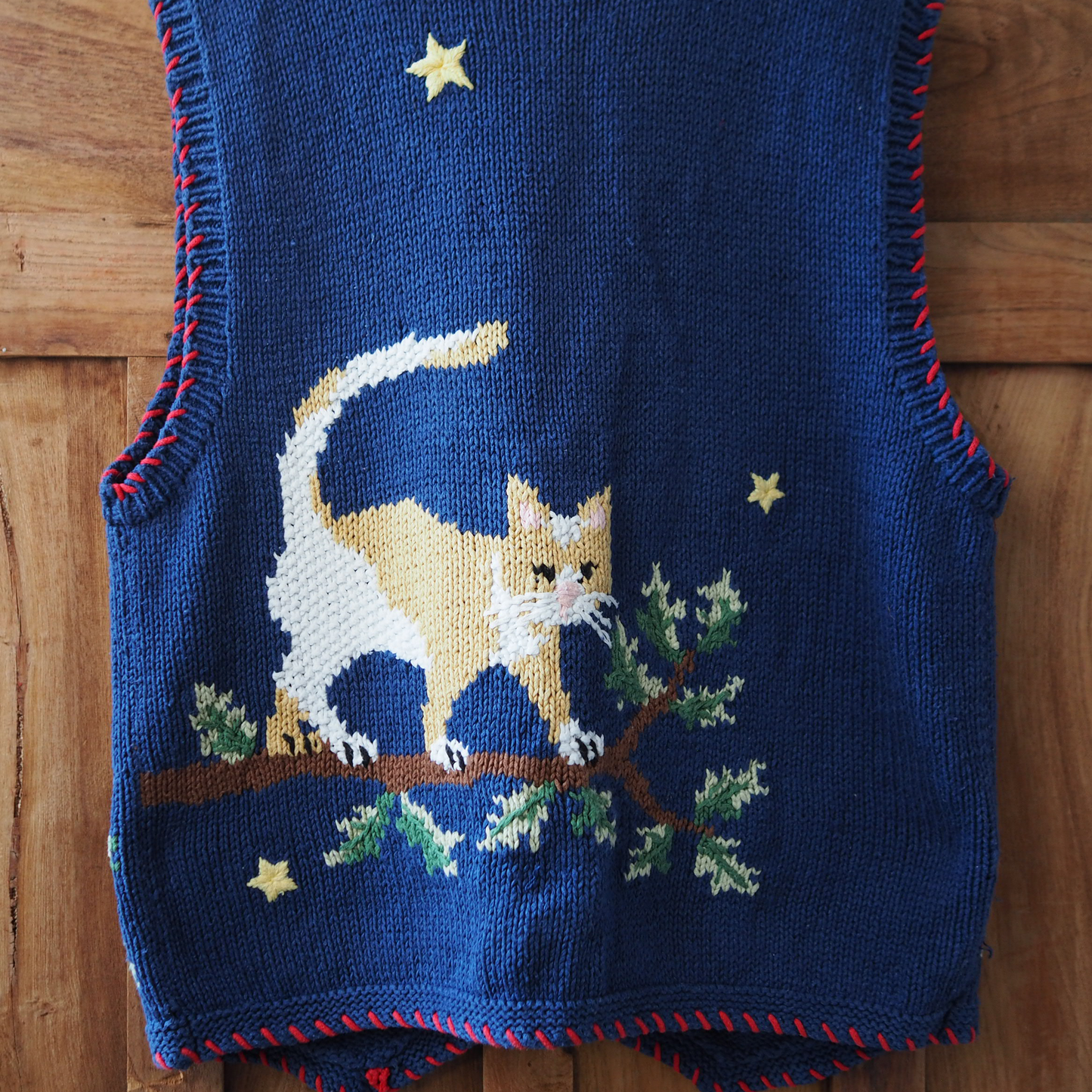Cats at Night Knit Vest / 90s / Belle Pointe