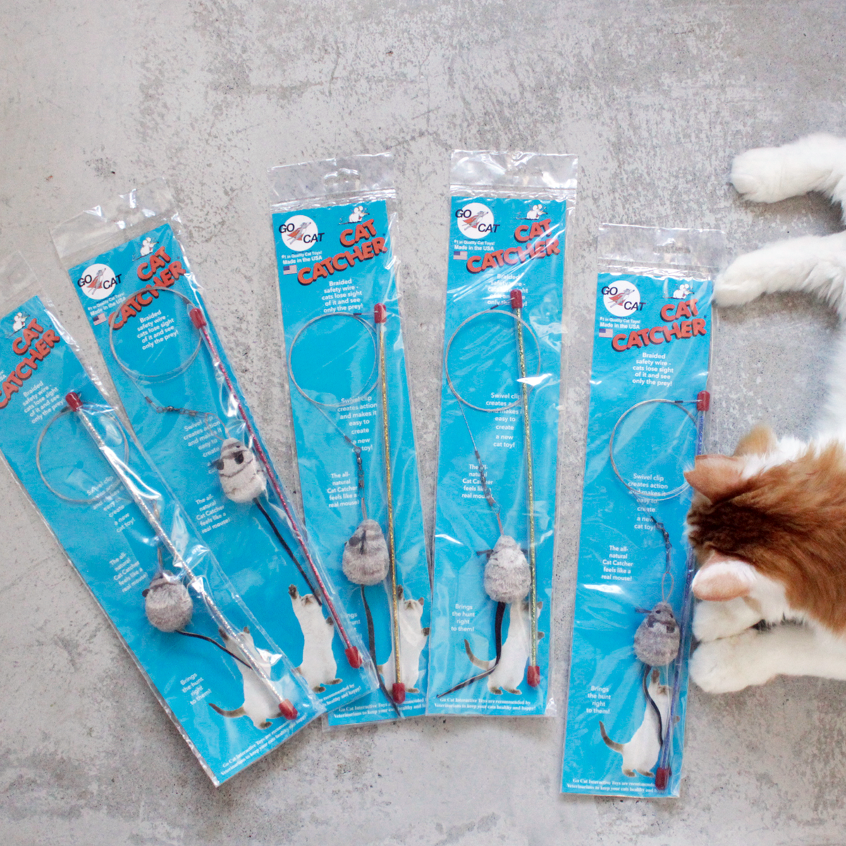 Cat Catcher