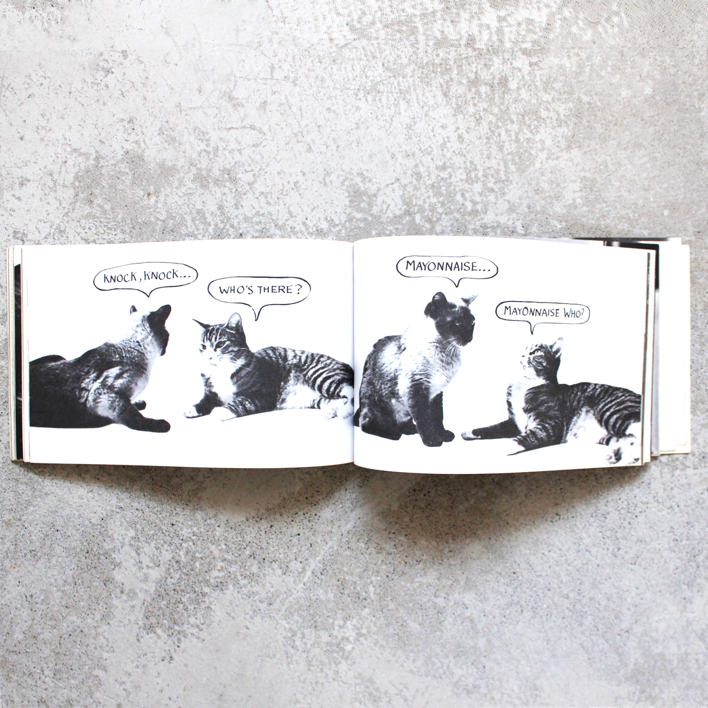 Cat Tales (1979) / Vintage Book