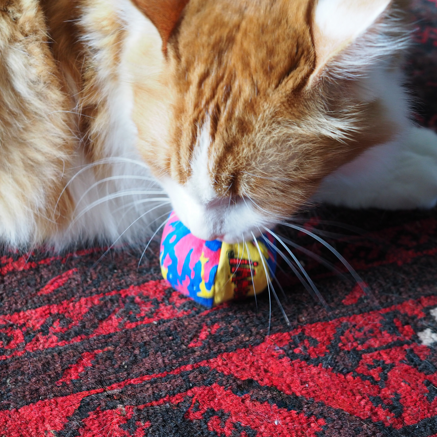Oh My Cats Balls