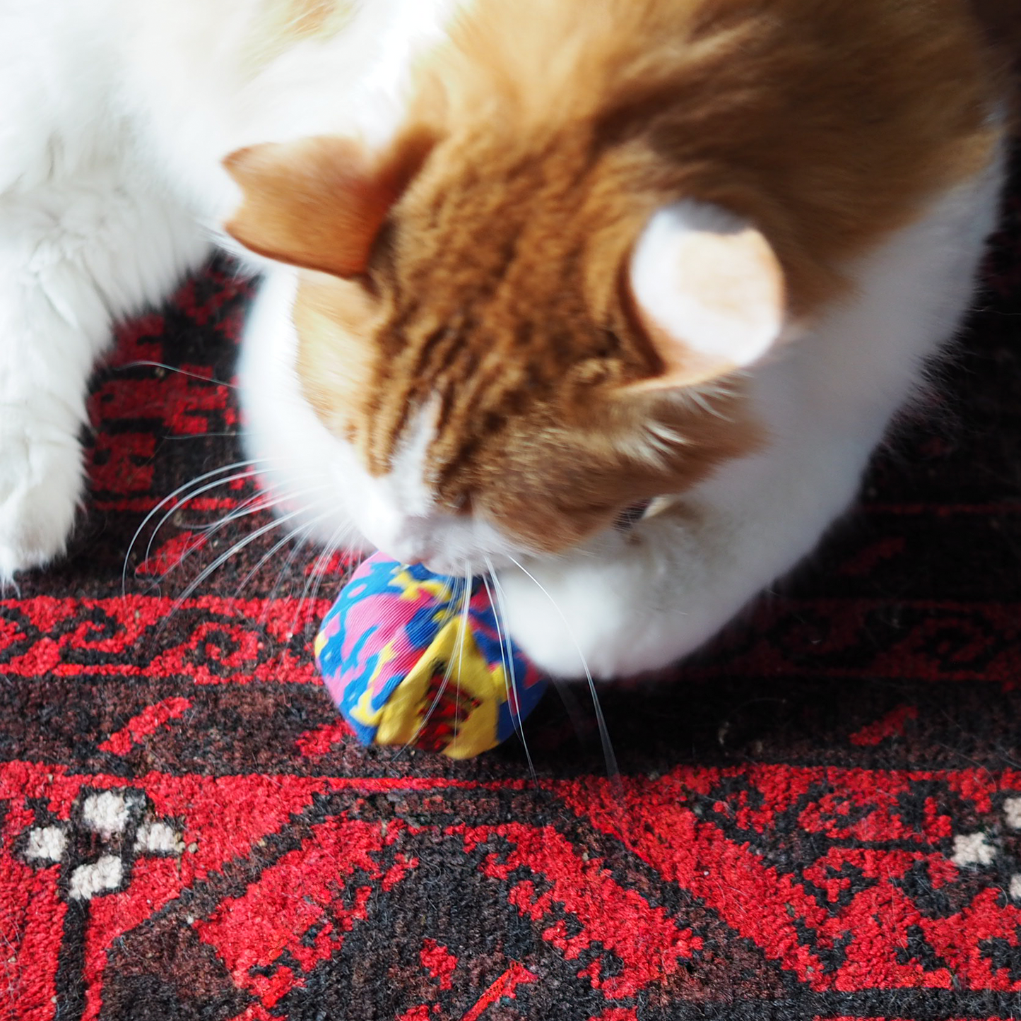 Oh My Cats Balls