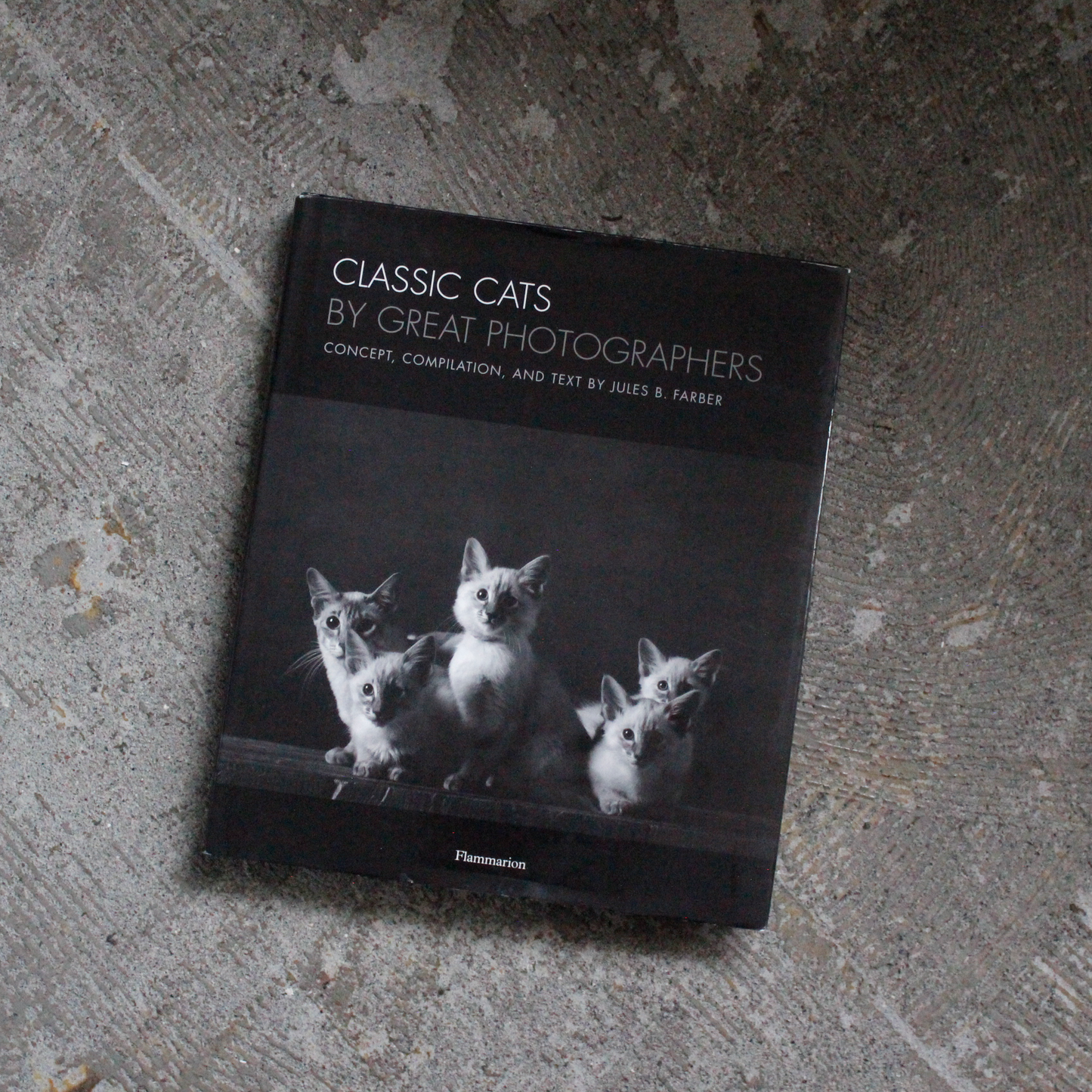 Classic Cats by Great Photographers (2005)