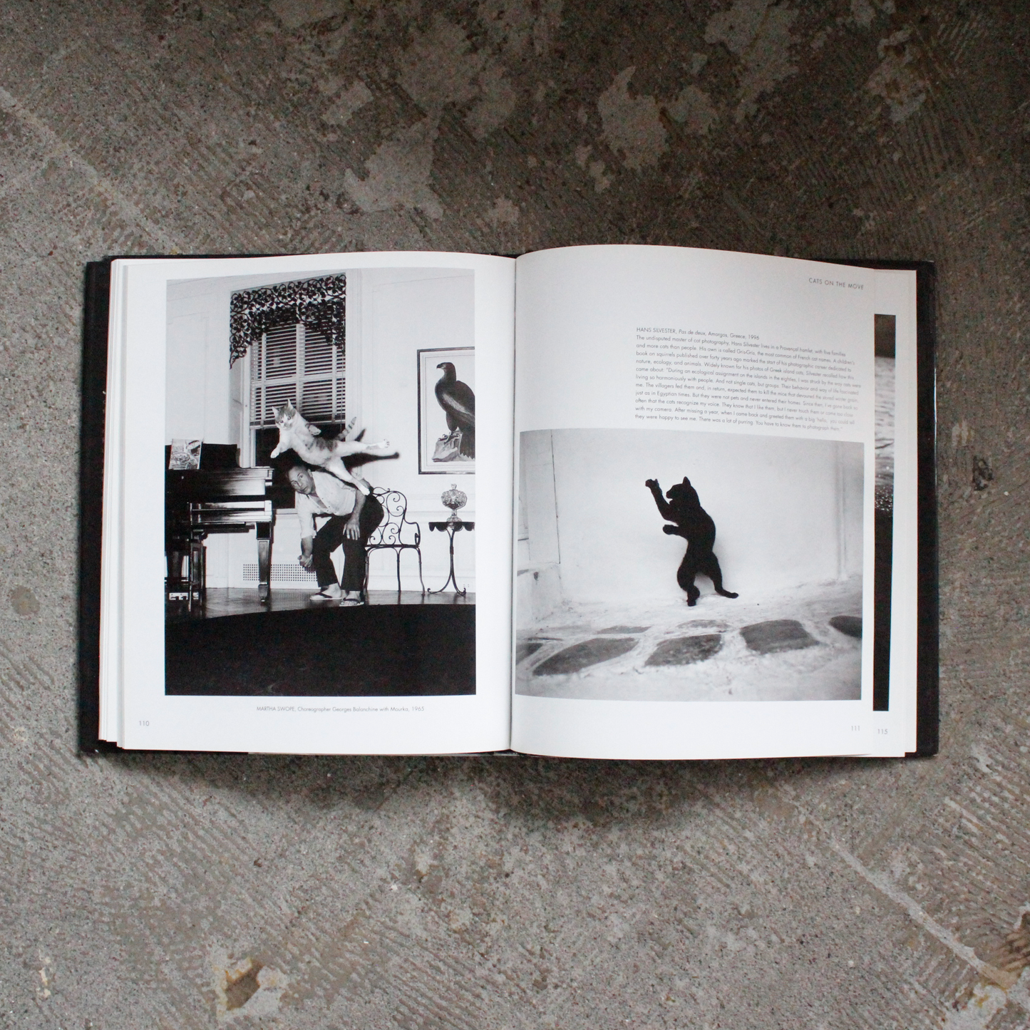Classic Cats by Great Photographers (2005)