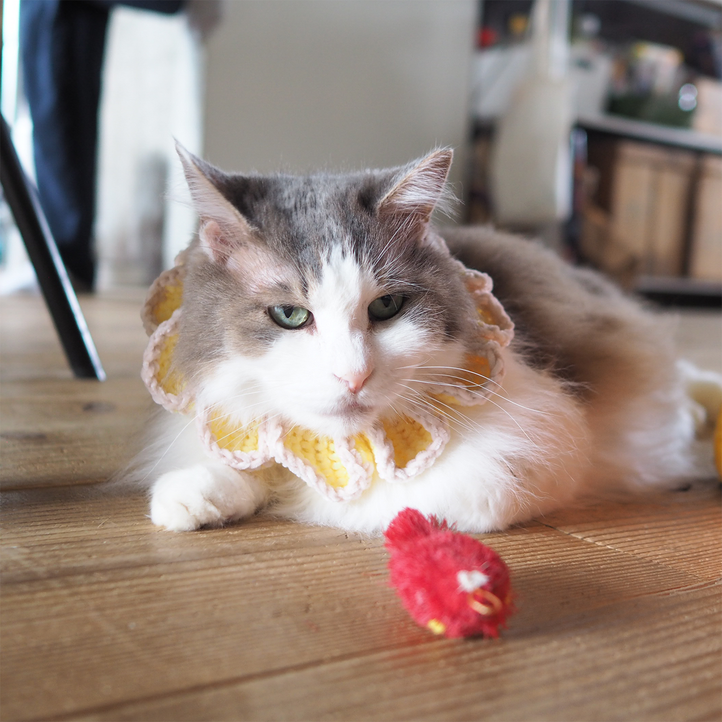 Paracord & Knit Collar🌼