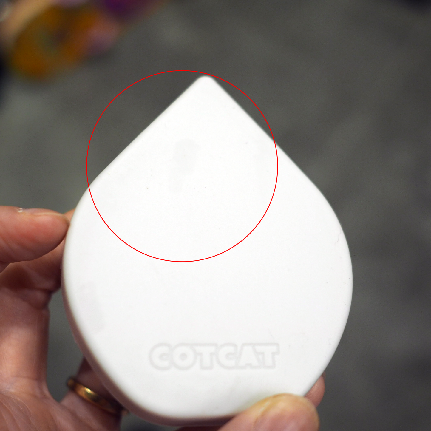 【OUTLET品】CAT SPA / SPIN COMB