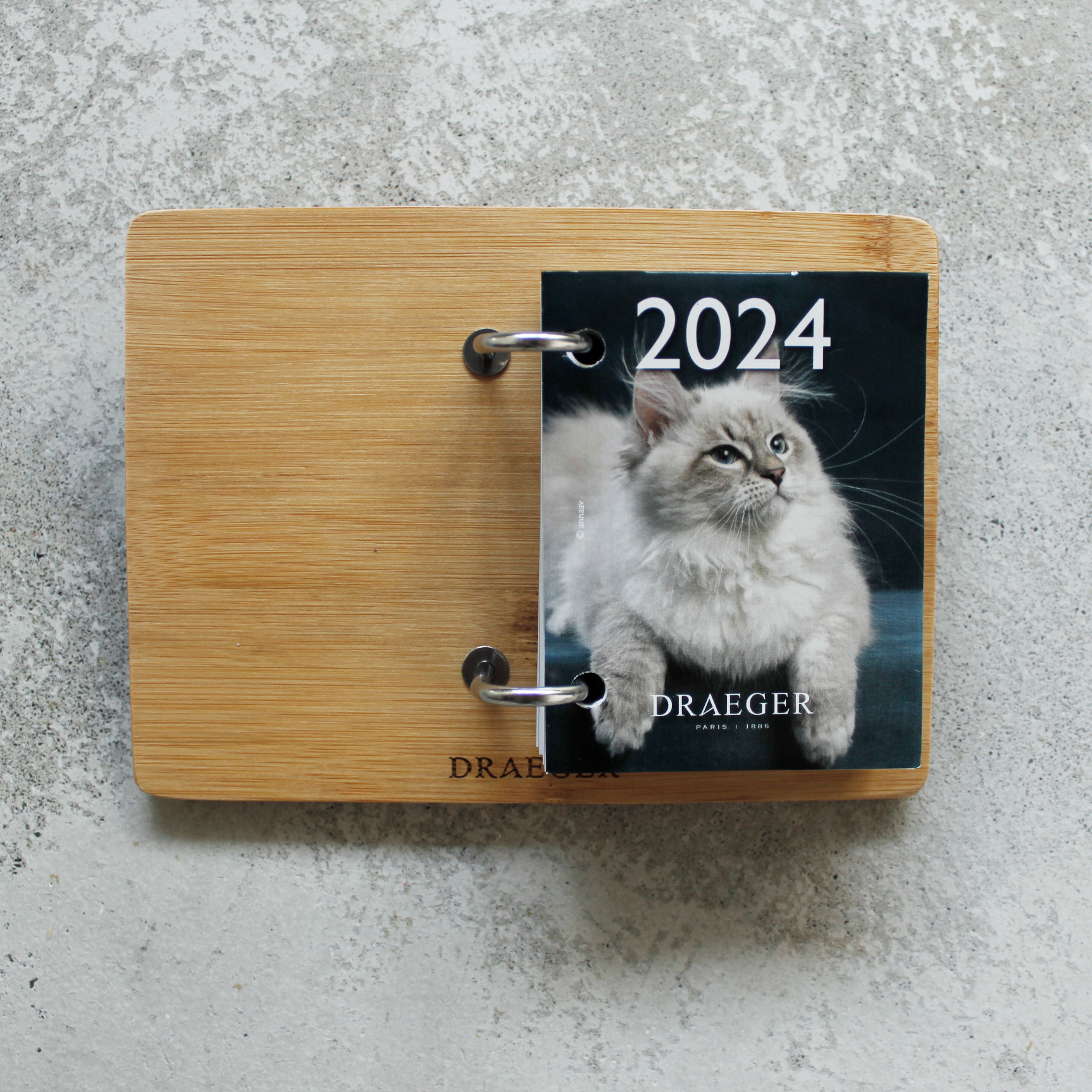 CATS 2024 Daily Calendar / DRAEGER PARIS（ドレジャーパリス