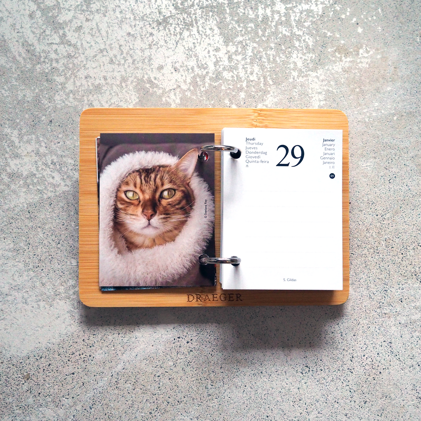 CATS 2026 Daily Calendar