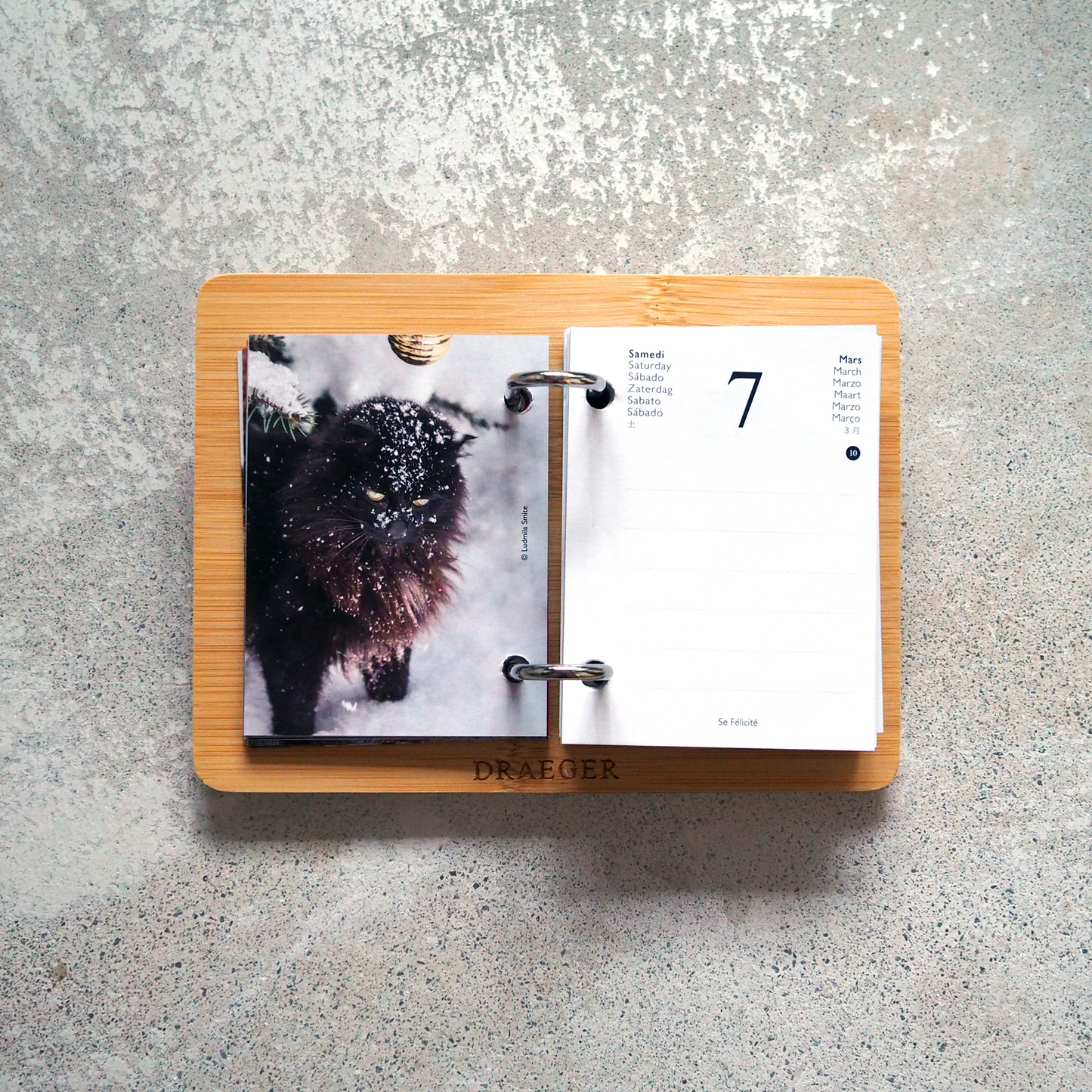 CATS 2026 Daily Calendar