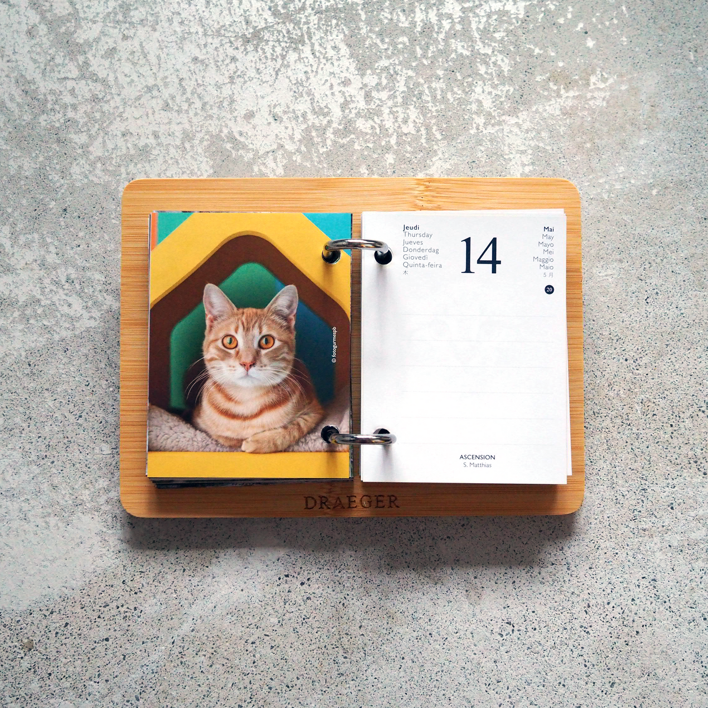 CATS 2026 Daily Calendar