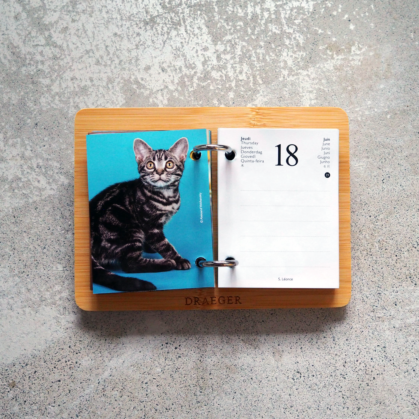 CATS 2026 Daily Calendar