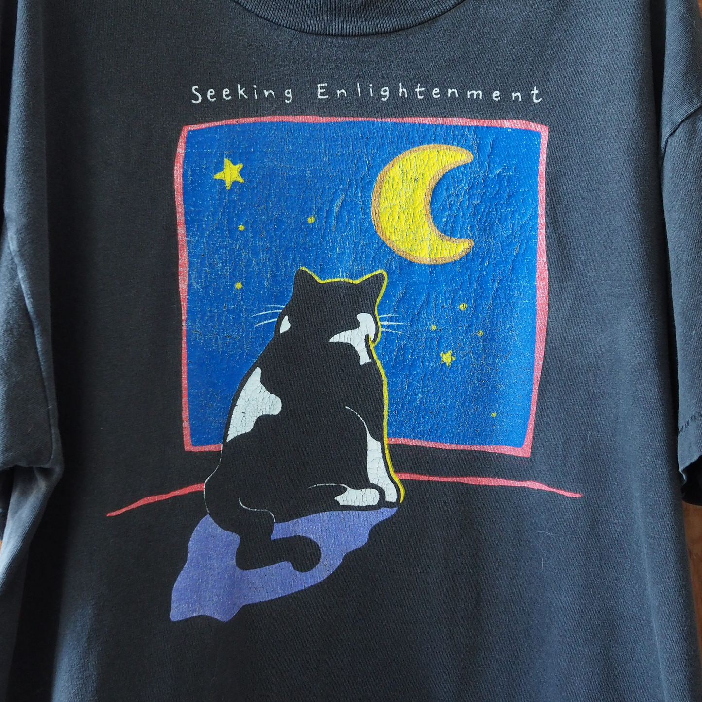 Seeking Enlightment Tee / 90s / Made in USA
