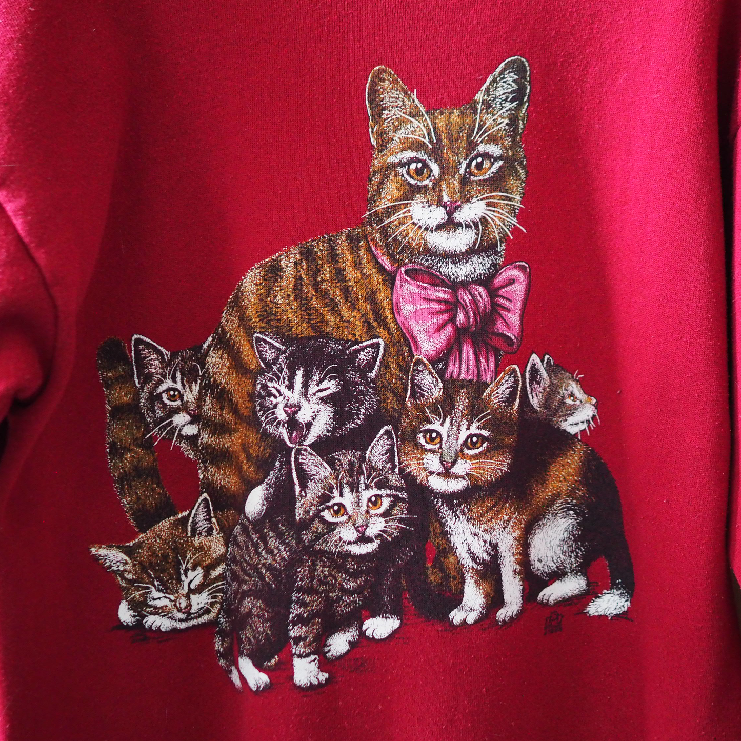Tabby Cat Family Sweat / 90s