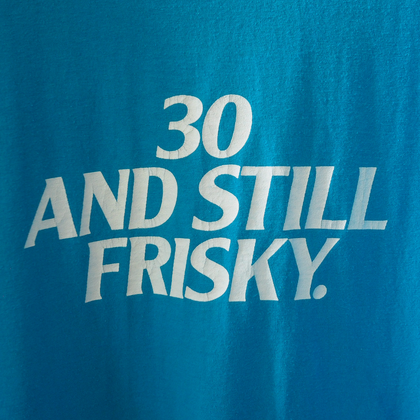 Friskies "30 and Still Frisky" Tee / 90s / Made in USA