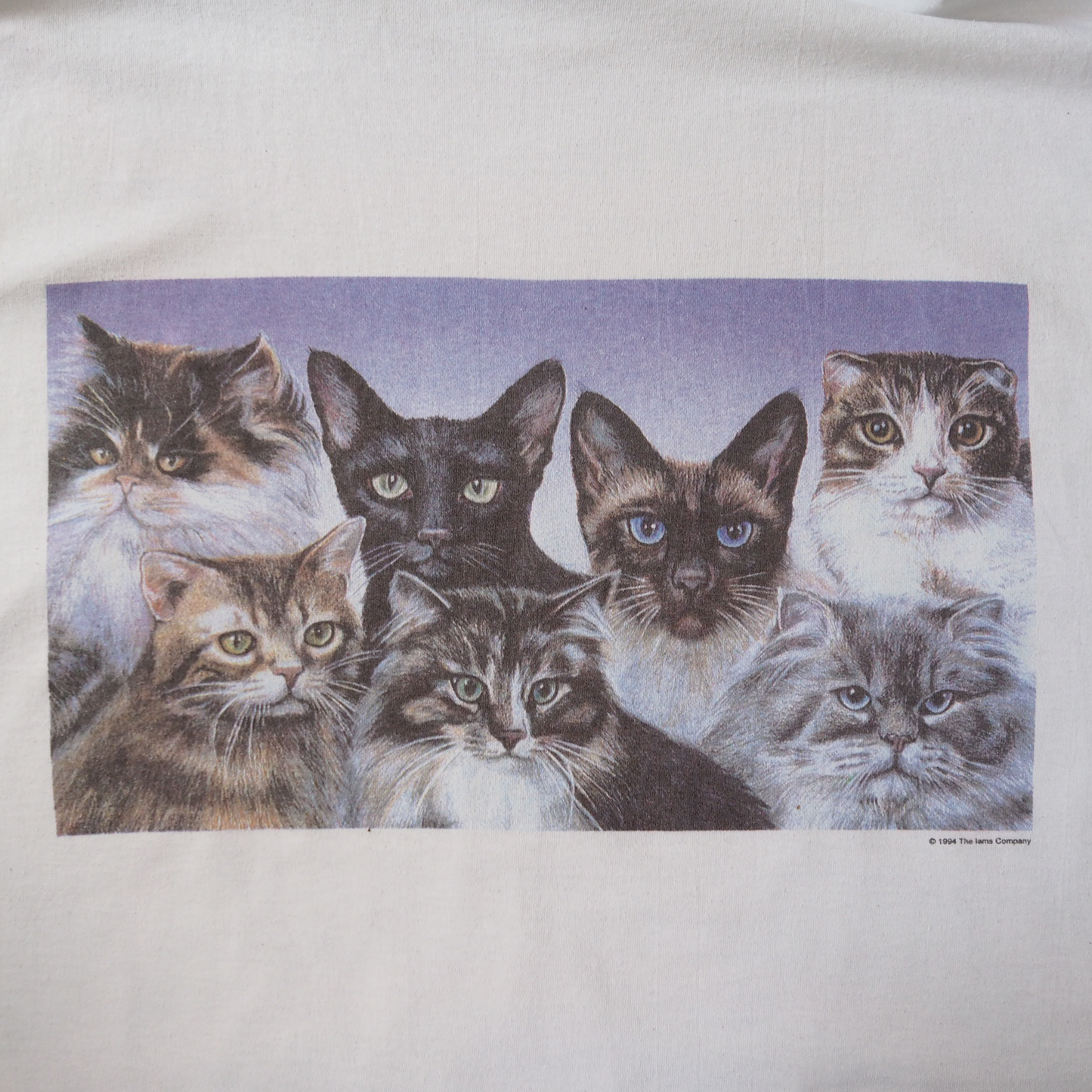 IAMS 7 Cats Tee / 90s / Made in USA