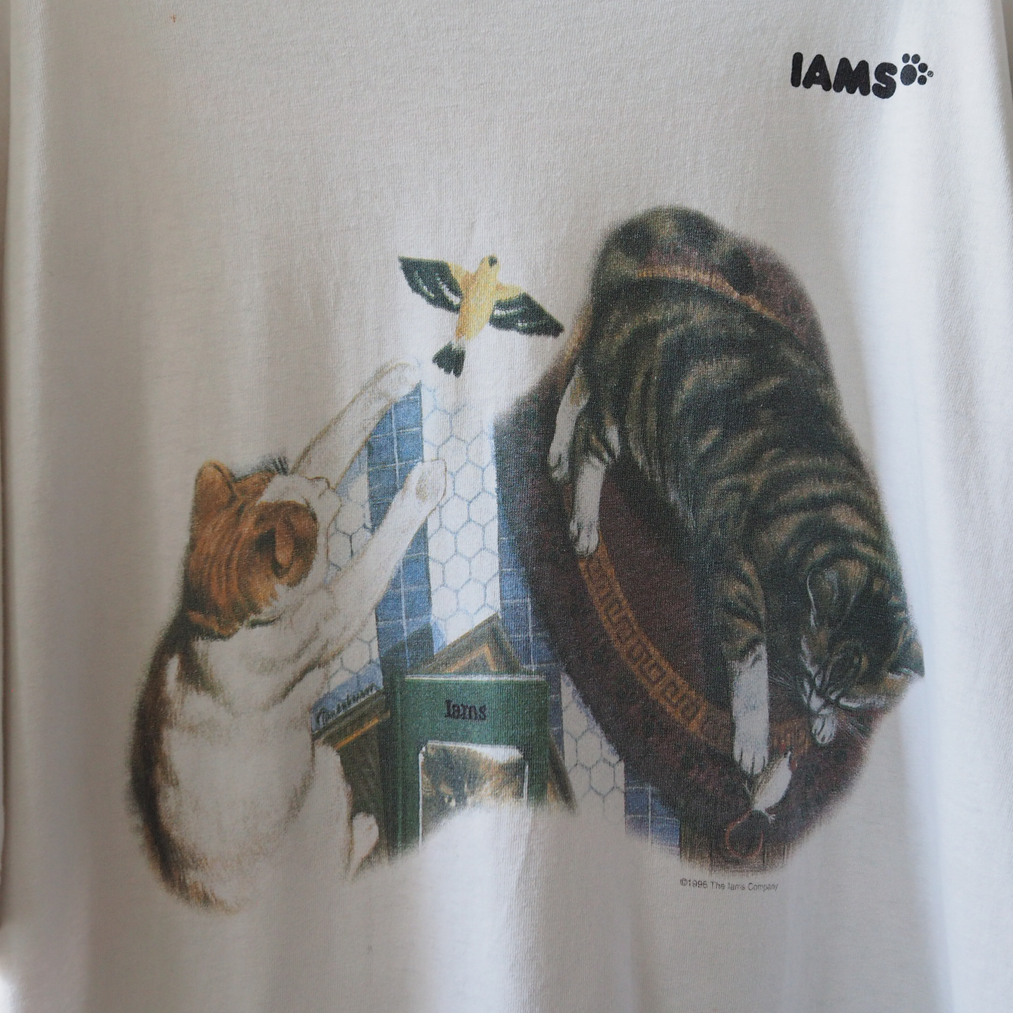 IAMS 50th Tee / 90s