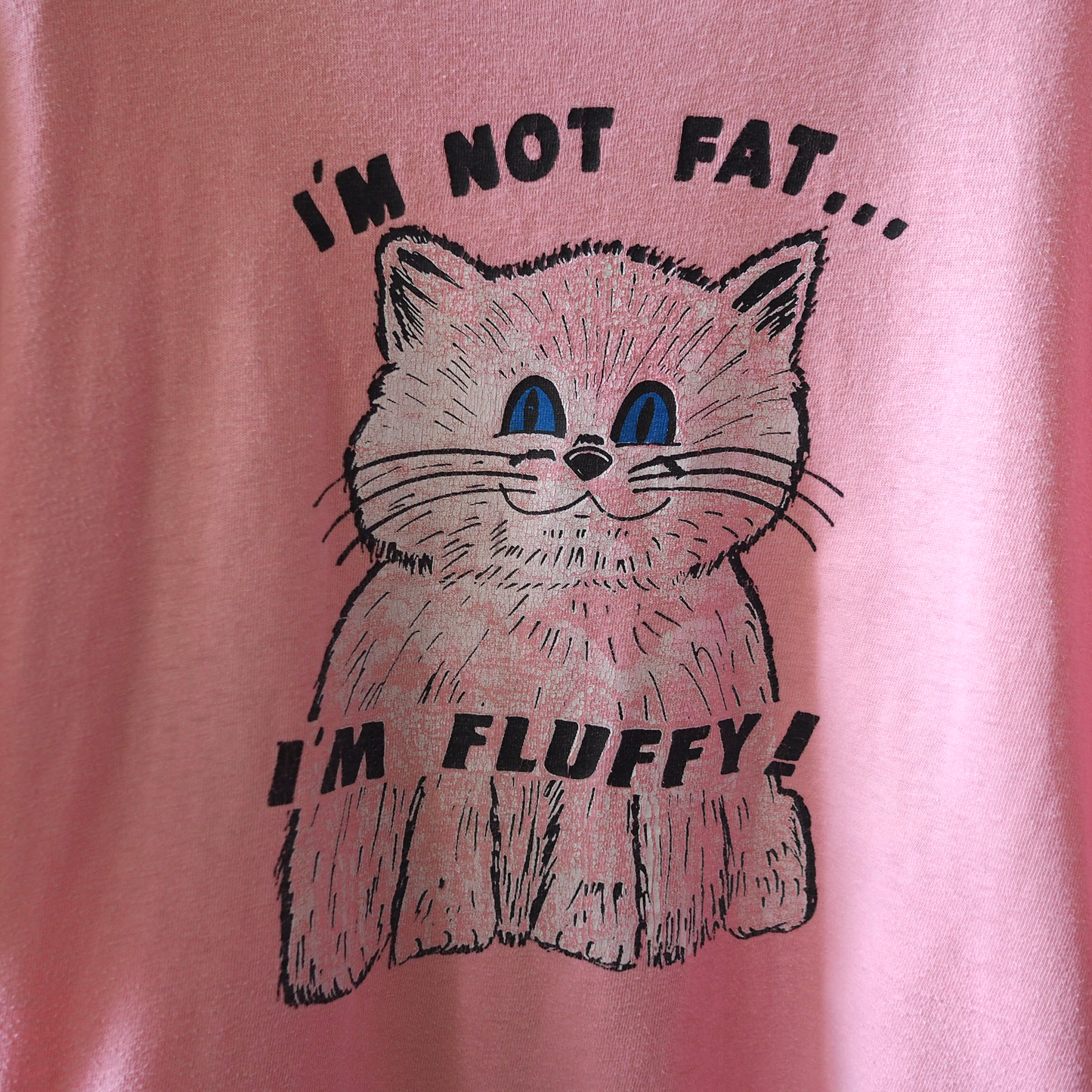 I'm Not Fat Tee / 80s- / Made in USA