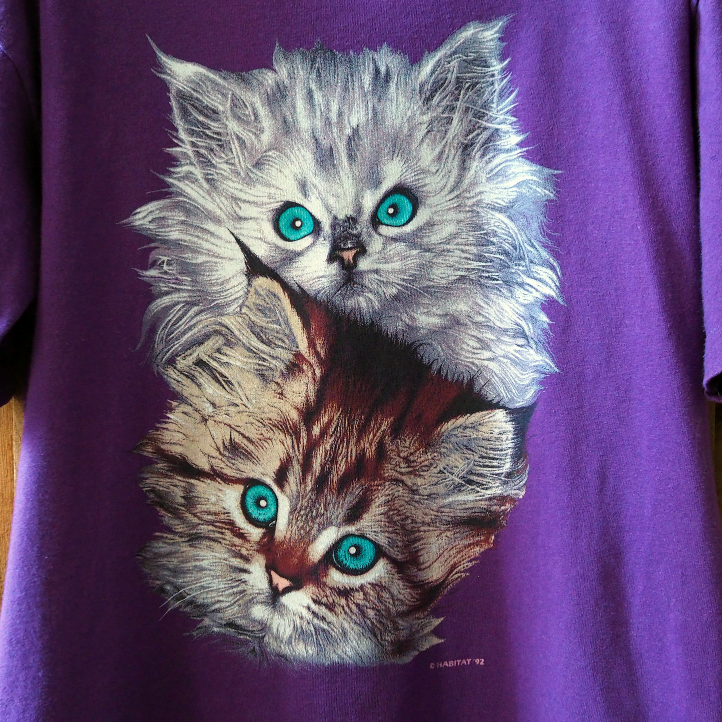 Kitten Brothers Portrait Tee / 90s / Made in USA