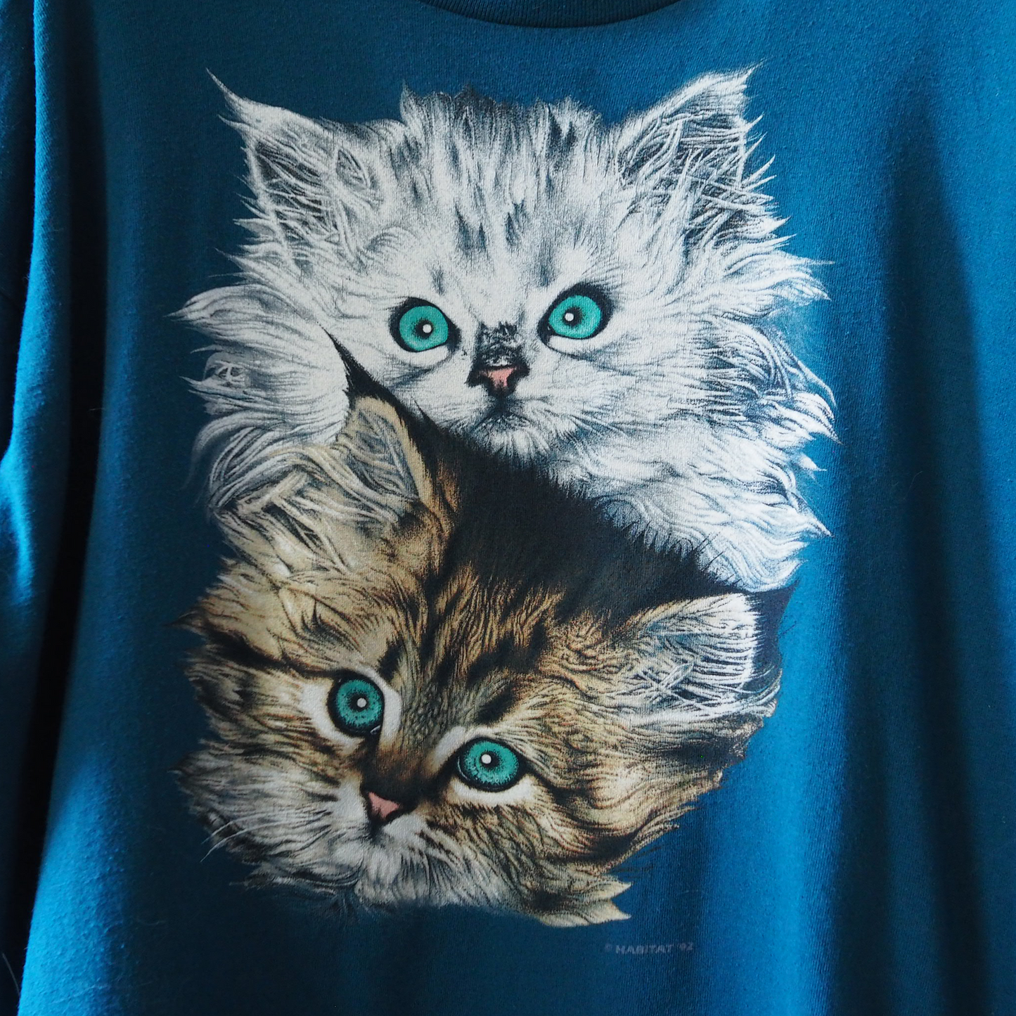 Kitten Brothers Portrait Tee / 90s / Made in USA
