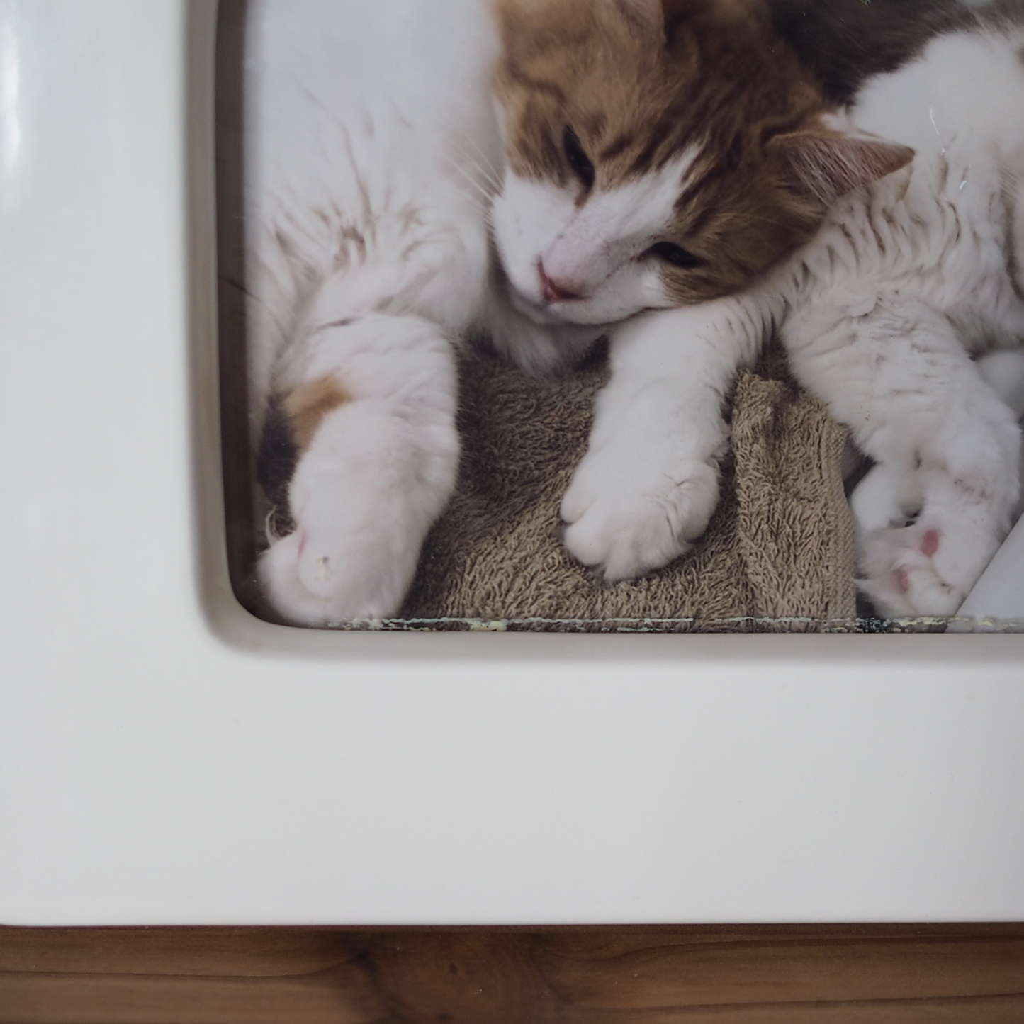 Kliban Cat Ceramic Photo Frame / 80s / Made in Japan