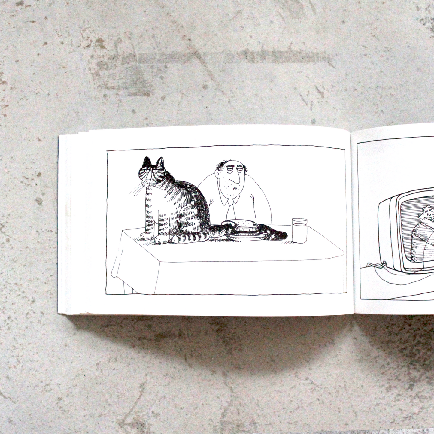 Cat 17th Anniversary Edition (1992) / Vintage Book