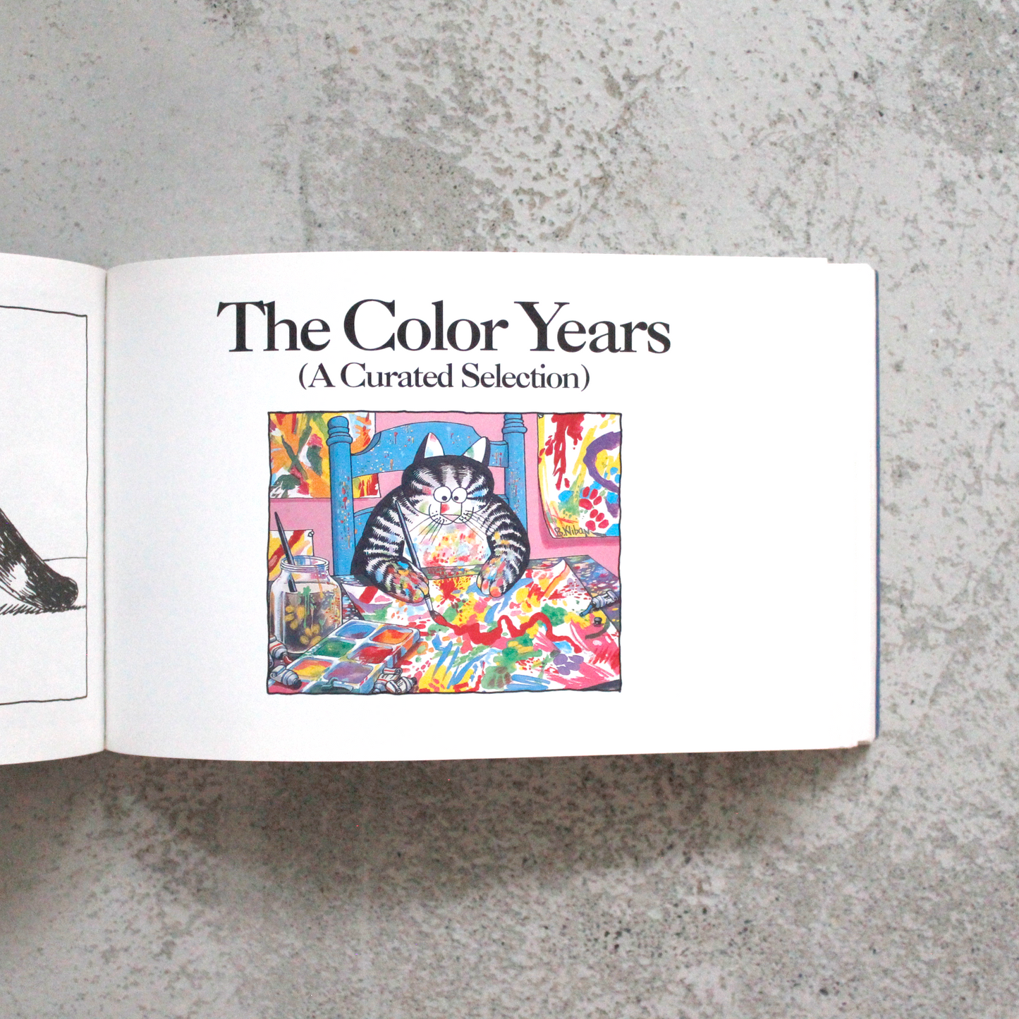 Cat 17th Anniversary Edition (1992) / Vintage Book