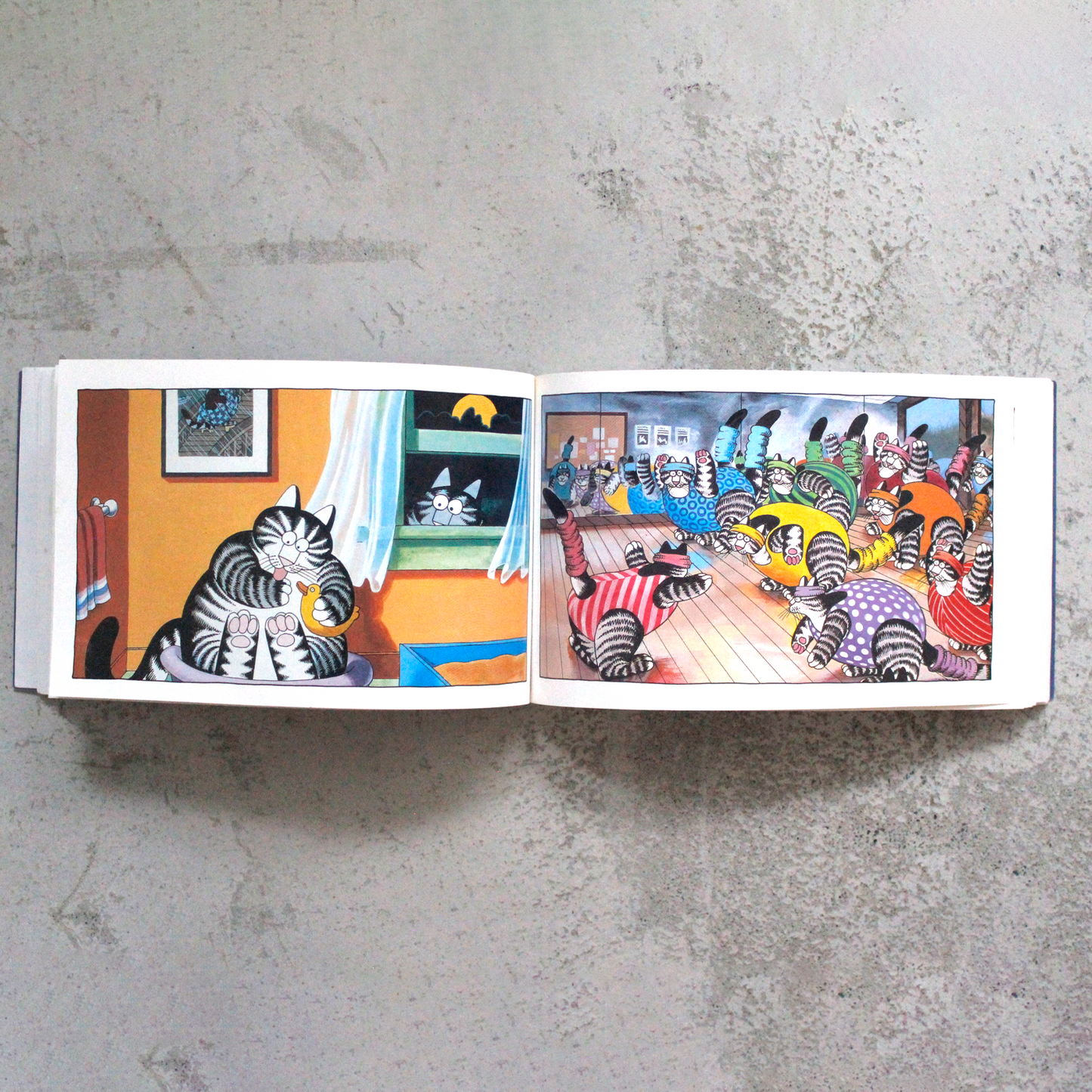 Cat 17th Anniversary Edition (1992) / Vintage Book