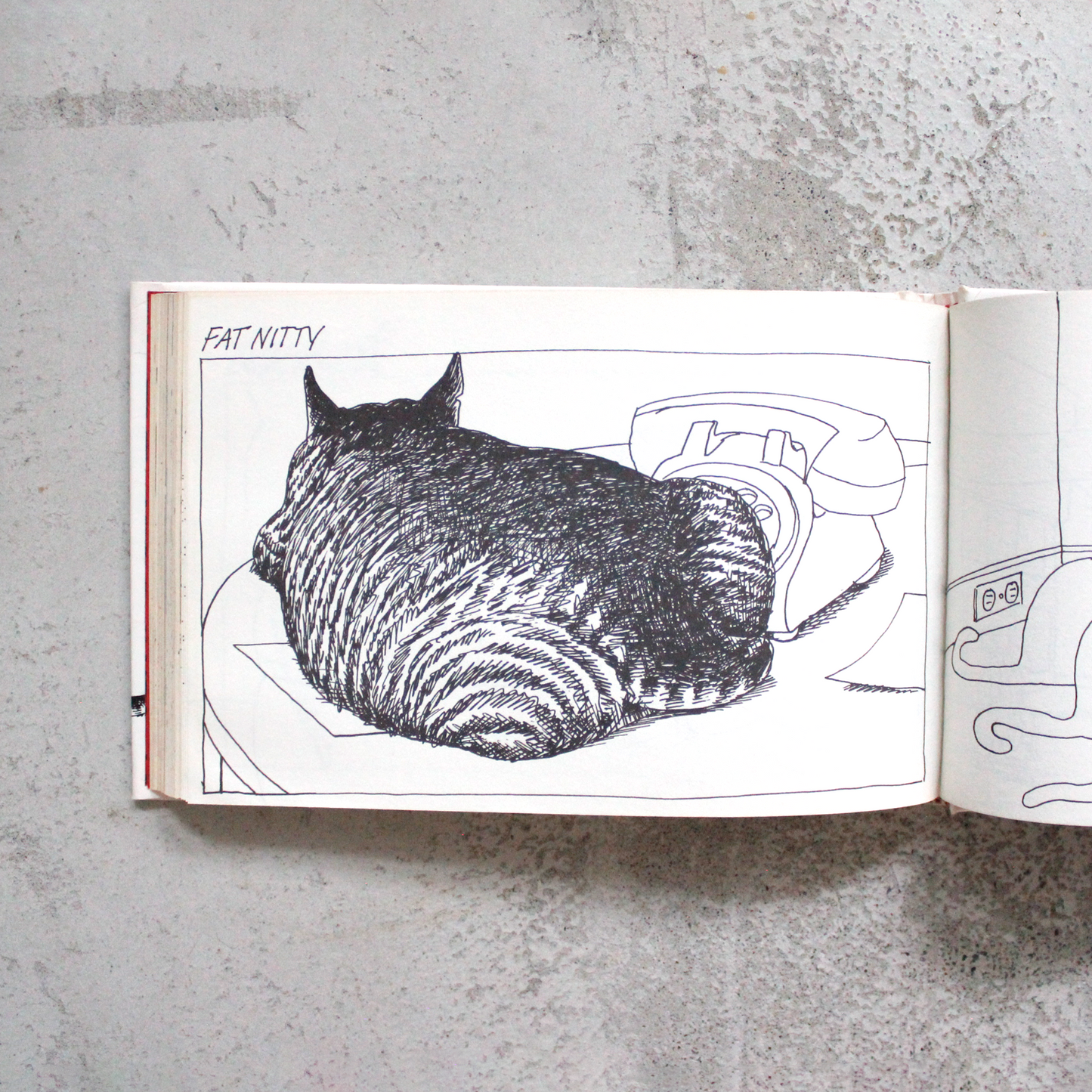 Cat (1976) / Hardcover / Vintage Book