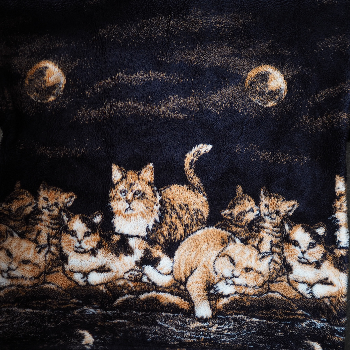 Mazmania Night Cat Collective Fleece Jacket / 90s / Made in USA