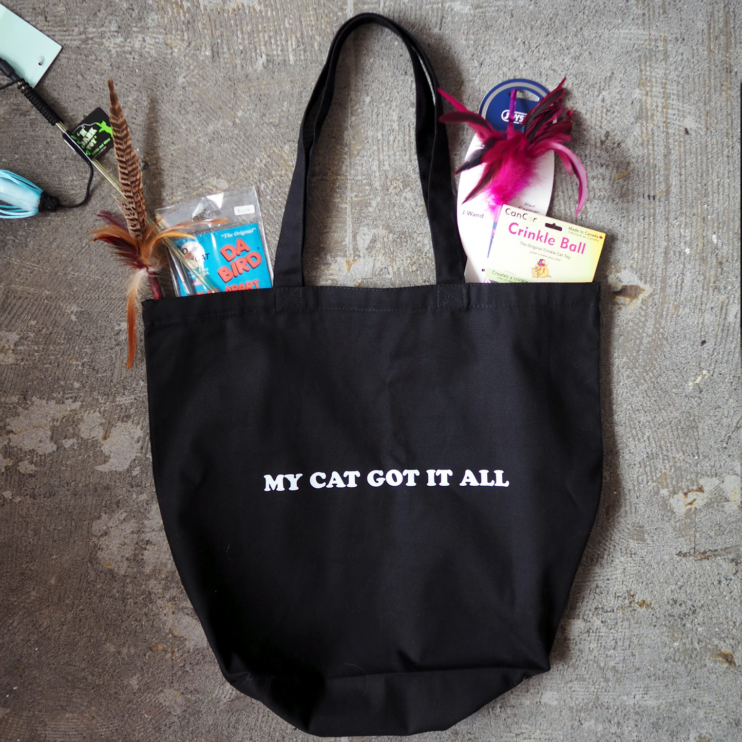 MY CAT GOT IT ALL TOTE