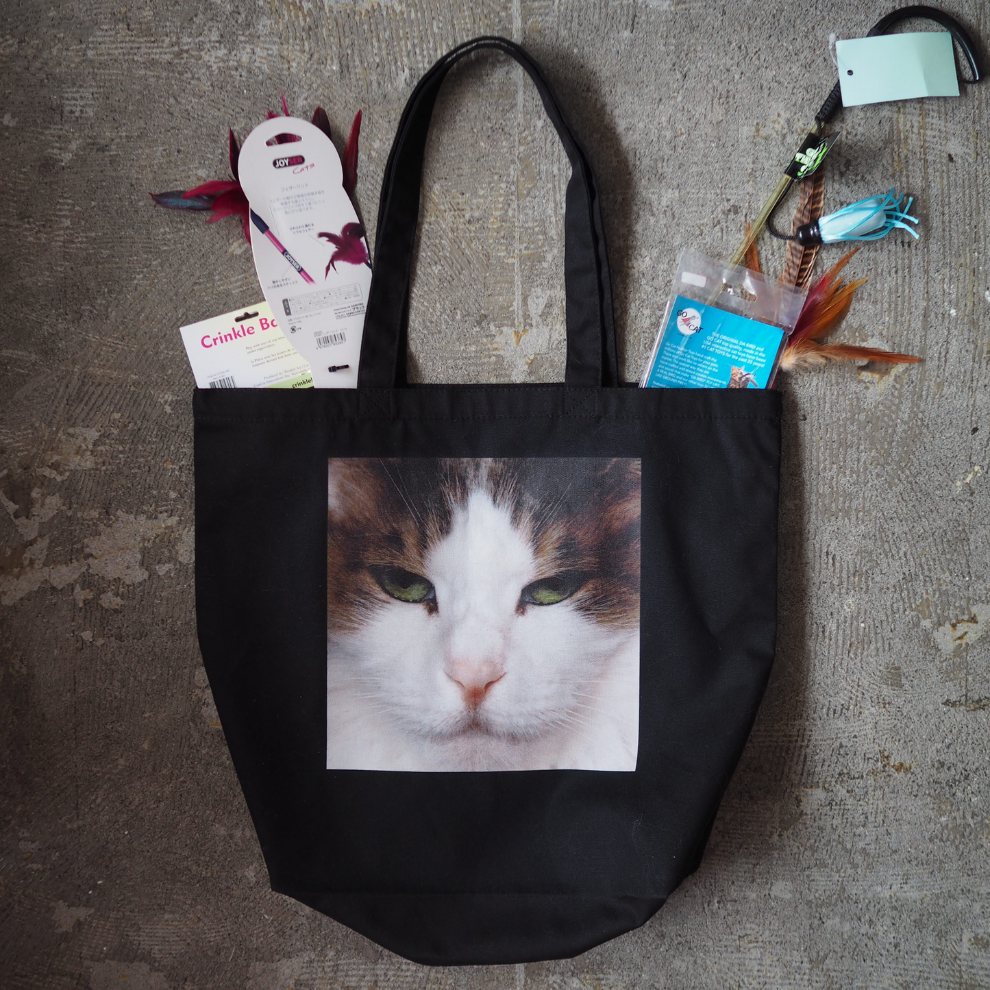 MY CAT GOT IT ALL TOTE