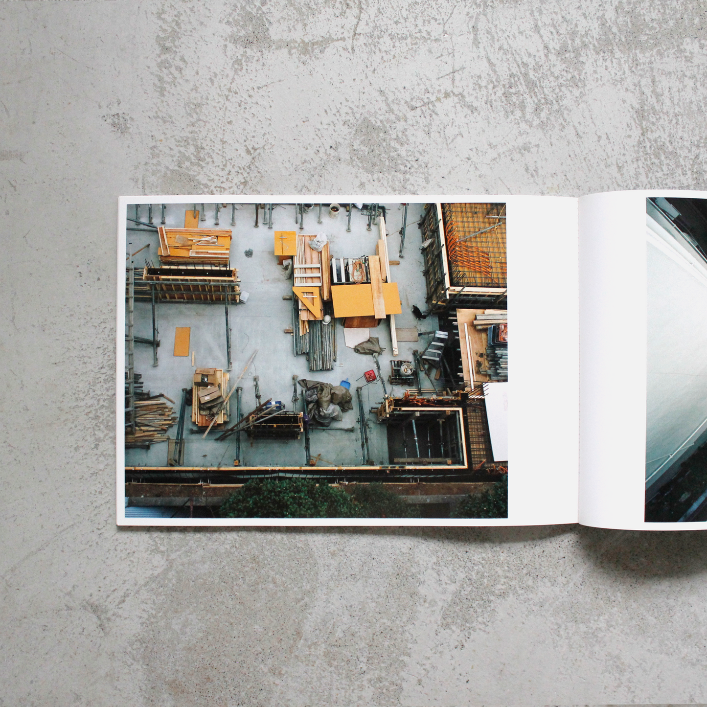 猫よさようなら