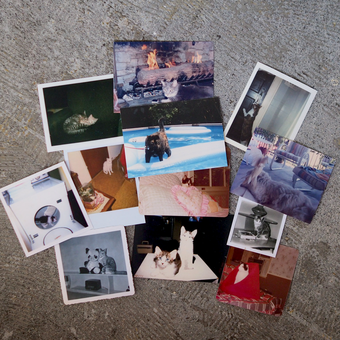Photo Card Set #3