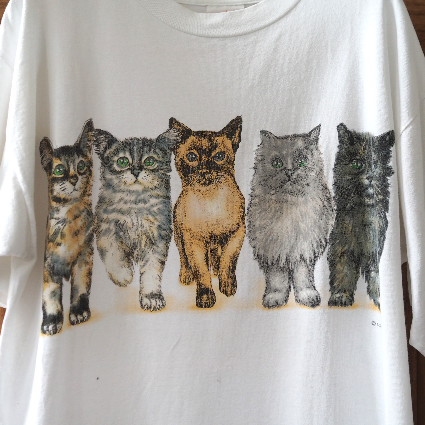 Basic 5 Cats Tee / Prints of Tails / 90s / Made in USA