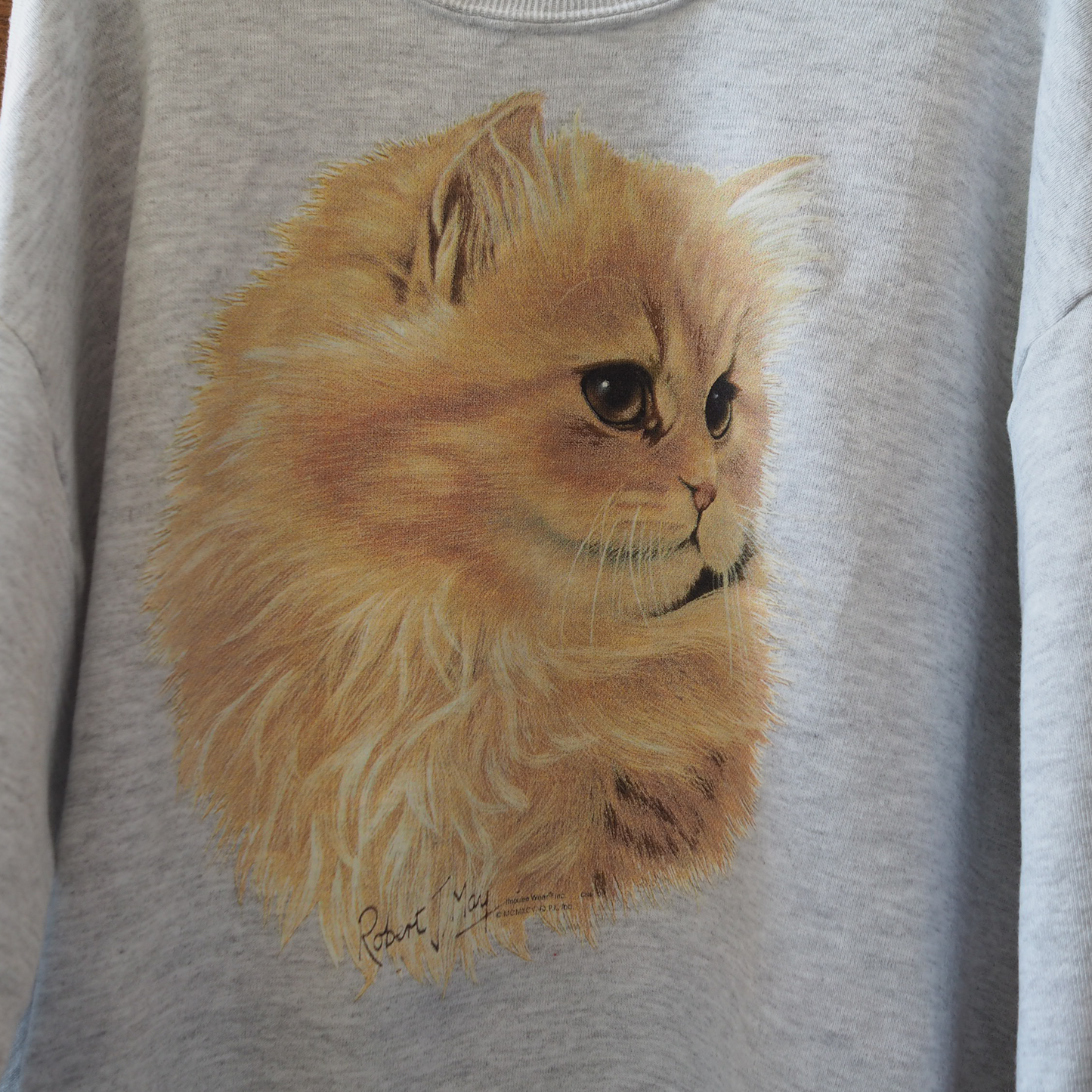 Red Tabby Cat Portrait Sweat / 90s
