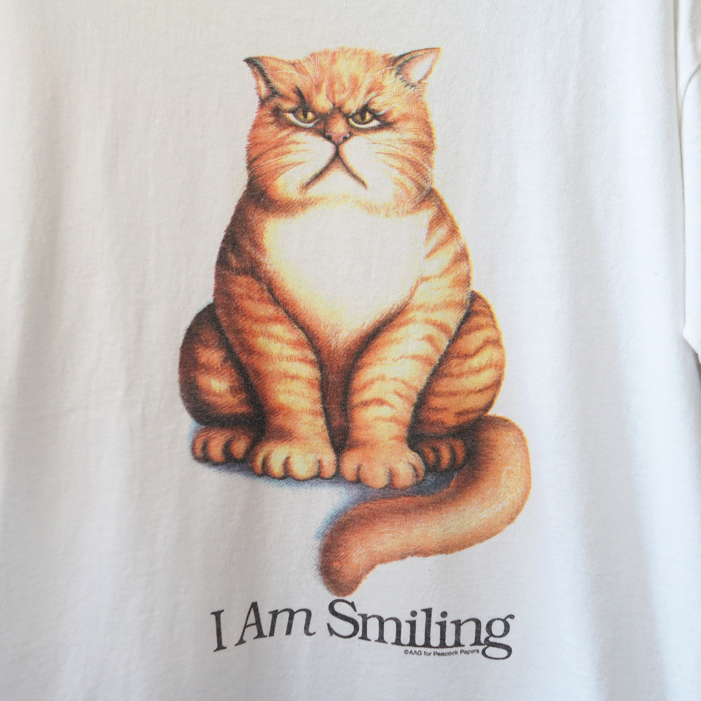 I Am Smiling Tee / 90s / Made in USA
