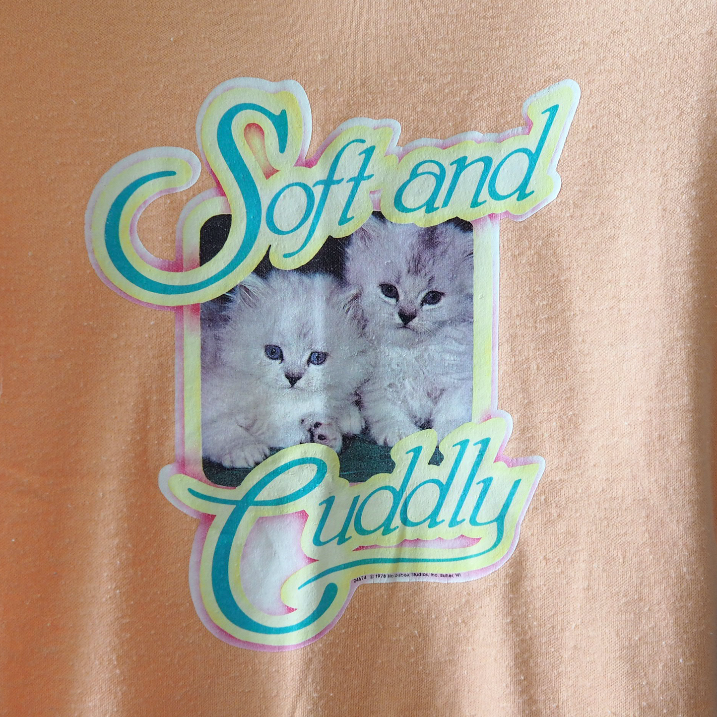 Soft and Cuddly Tee / 70s / Made in USA