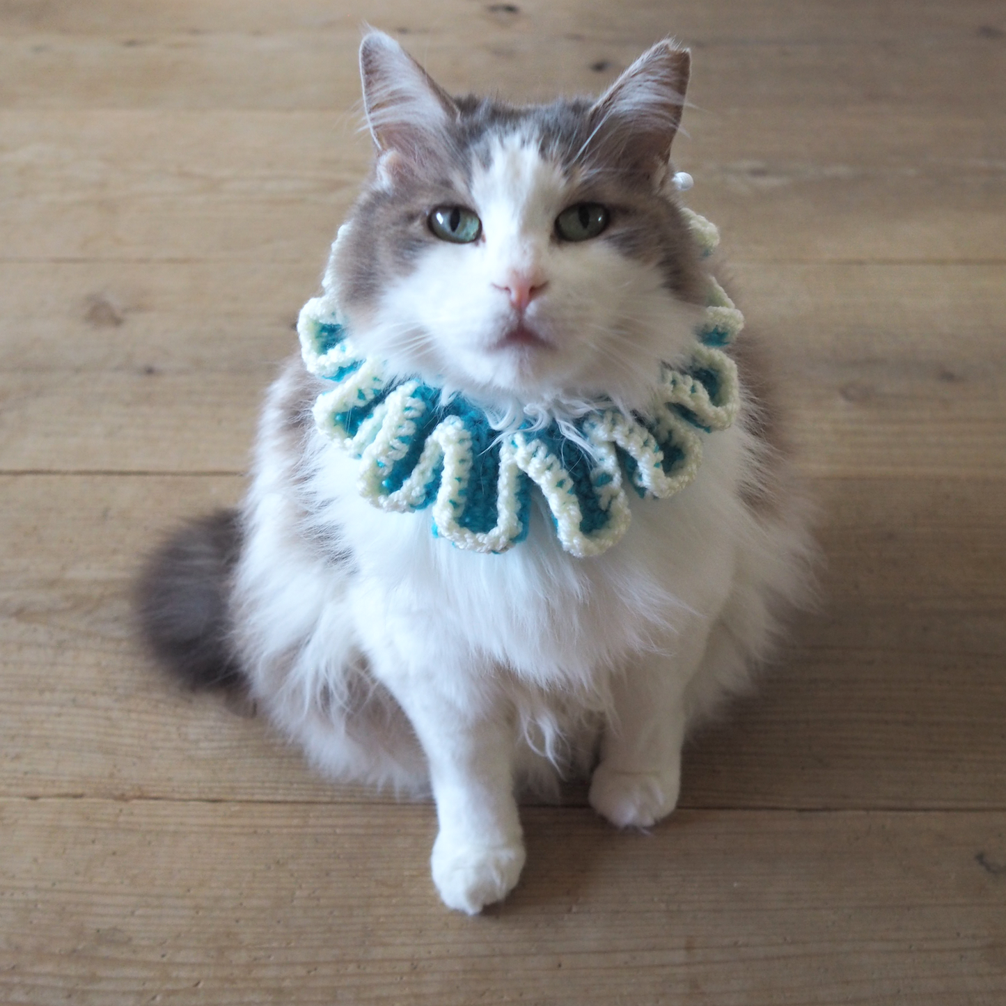 Paracord & Knit Collar🌼