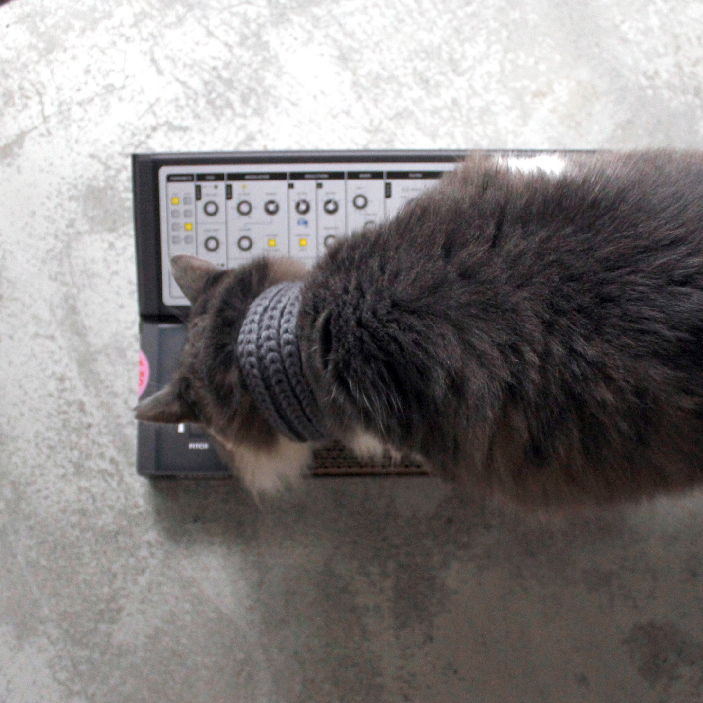 Cat Synth Scratcher