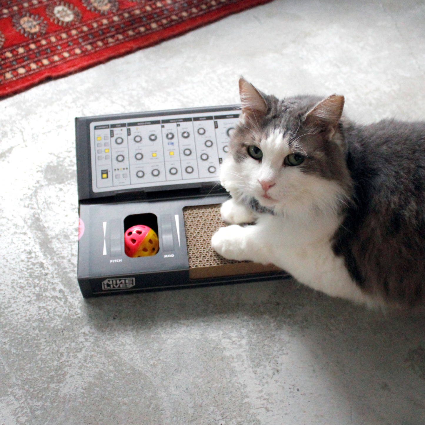 Cat Synth Scratcher
