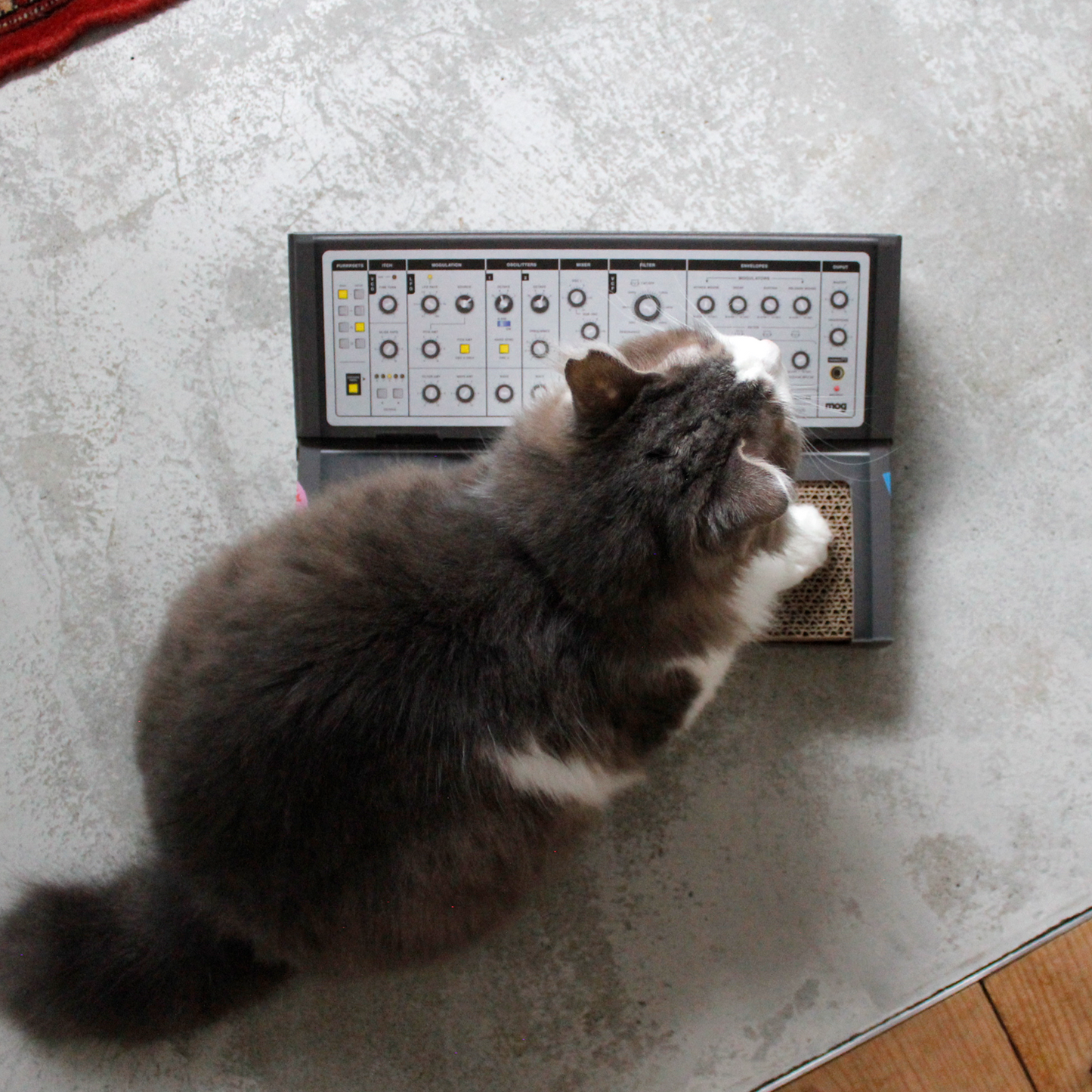 Cat Synth Scratcher